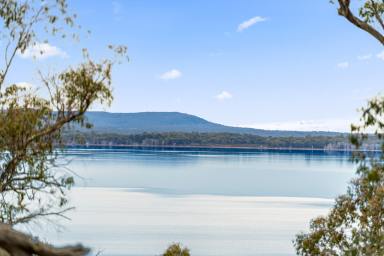Farm Sold - TAS - Wilburville - 7030 - Very Rare Lakefront Property  (Image 2)