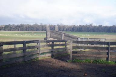 Farm Sold - WA - Manjimup - 6258 - Diverse Investment with Solid Rainfall (60.7 ha)  (Image 2)
