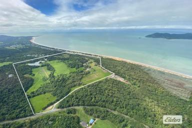 Farm Sold - QLD - Wongaling Beach - 4852 - Welcome to Wheatley Estate  (Image 2)