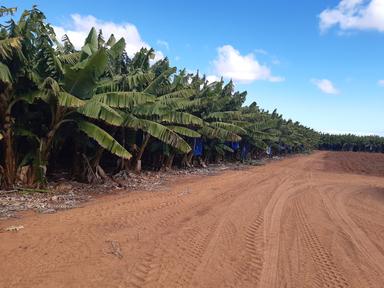 South River Rd & McGlades Rd, Carnarvon WA 6701