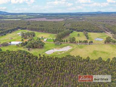 Farm Sold - WA - Narrikup - 6326 - 50 Acres With Substantial Infrastructure Half Way Between Albany & Mount Barker  (Image 2)