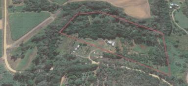 Farm For Sale - QLD - Hampden - 4741 - 10 Acres of High Value Furniture Timber Plantation some Ready to be Harvested  (Image 2)