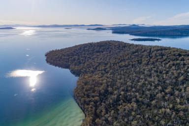 Farm For Sale - TAS - Taranna - 7180 - Escape to your own slice of waterfront wilderness with this pristine and secluded property.  (Image 2)