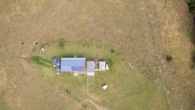 Farm Sold - QLD - Mount Charlton - 4741 - Country Lifestyle Property  (Image 2)