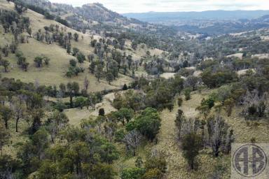 Farm For Sale - NSW - Nundle - 2340 - HIGH ALTITUDE GRAZING  (Image 2)