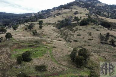 Farm For Sale - NSW - Nundle - 2340 - HIGH ALTITUDE GRAZING  (Image 2)