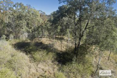 Farm Sold - QLD - Summerholm - 4341 - 150 Acres located in the Summerholm Valley.
UNDER CONTRACT  (Image 2)