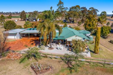 Farm Sold - QLD - Cambooya - 4358 - 'The Overshot’ - Horse Lovers Paradise!!  (Image 2)