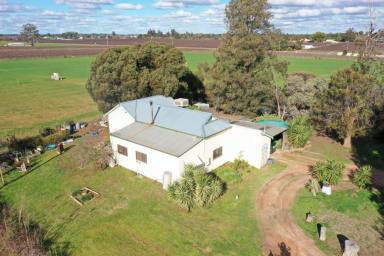Farm Sold - VIC - Red Cliffs - 3496 - WHEN RURAL & LIFESTYLE MEET  (Image 2)