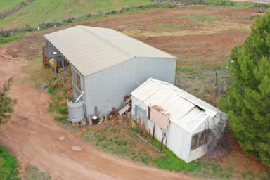 Farm Sold - VIC - Red Cliffs - 3496 - WHEN RURAL & LIFESTYLE MEET  (Image 2)