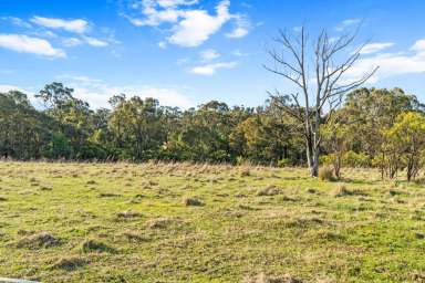 Farm For Sale - VIC - Seaton - 3858 - Fantastic Lifestyle Building Block  (Image 2)