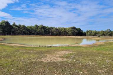 Farm Sold - WA - Munglinup - 6450 - DIVERSITY ALONG THE SOUTH COAST AND OLDFIELD RIVER
"Wilga Bank" Munglinup.  (Image 2)