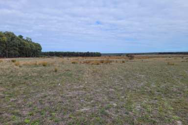 Farm Sold - WA - Munglinup - 6450 - SHASTER DOWNS TREE FARM  (Image 2)