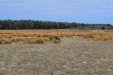 Farm Sold - WA - Munglinup - 6450 - SHASTER DOWNS TREE FARM  (Image 2)