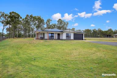 Farm Sold - QLD - North Isis - 4660 - OPEN TO OFFERS - MUST BE SOLD  (Image 2)