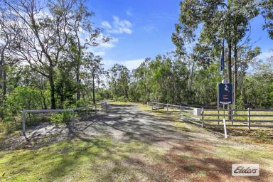 Farm Sold - QLD - Pacific Haven - 4659 - 42.5 ACRES OF SERENITY  (Image 2)