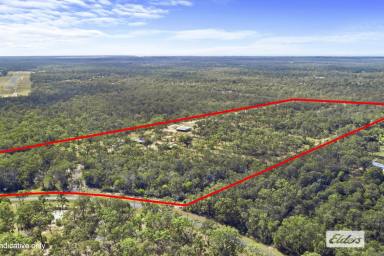 Farm Sold - QLD - Pacific Haven - 4659 - 42.5 ACRES OF SERENITY  (Image 2)