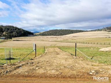 Farm Sold - TAS - Colebrook - 7027 - Unique Opportunity in Colebrook - Your Dream Country Living Awaits!  (Image 2)