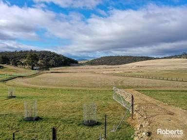 Farm Sold - TAS - Colebrook - 7027 - Unique Opportunity in Colebrook - Your Dream Country Living Awaits!  (Image 2)
