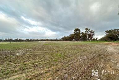Farm Sold - VIC - Maiden Gully - 3551 - Discover Your Dream Rural Haven: 62.25 Acres of Prime Farm Zoned Land  (Image 2)