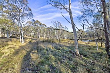 Farm Sold - VIC - Omeo - 3898 - Your own high country bush block.  (Image 2)