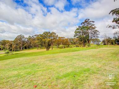 Farm For Sale - NSW - Aylmerton - 2575 - 10 Acres Ready to Build  (Image 2)