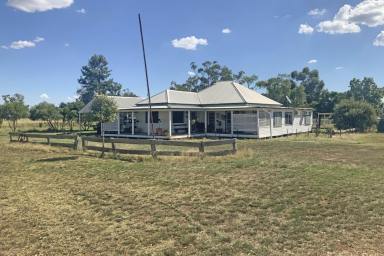 Farm For Sale - NSW - Collie - 2827 - Acres, Homestead and 5 kms from Collie!  (Image 2)