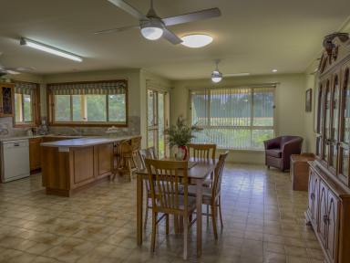 Farm For Sale - NSW - Wingham - 2429 - Plenty of space on the edge of town  (Image 2)