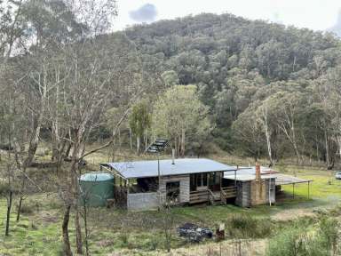 Farm Sold - VIC - Tongio - 3896 - BE QUICK! – OFF GRID CABIN ON 164 ACRES OF HIGH COUNTRY BUSH  (Image 2)