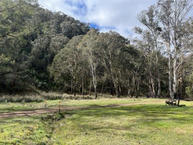 Farm Sold - VIC - Tongio - 3896 - BE QUICK! – OFF GRID CABIN ON 164 ACRES OF HIGH COUNTRY BUSH  (Image 2)