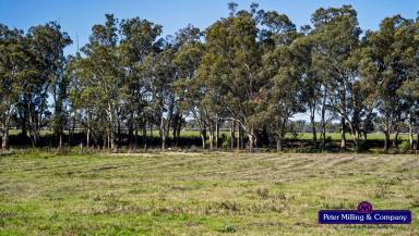 Farm Sold - NSW - Dubbo - 2830 - Productive, Alluvial Lifestyle Acreage  (Image 2)