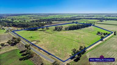 Farm Sold - NSW - Dubbo - 2830 - Productive, Alluvial Lifestyle Acreage  (Image 2)