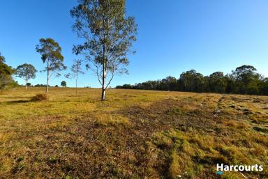 Farm Sold - QLD - South Isis - 4660 - PEACE AND TRANQUILITY  (Image 2)