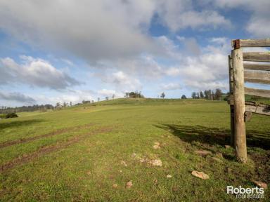 Farm For Sale - TAS - Sunnyside - 7305 - Ideal location for livestock management or run off block on 34.37 acres approx.  (Image 2)