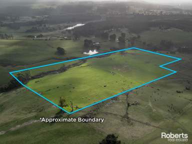 Farm For Sale - TAS - Sunnyside - 7305 - Ideal location for livestock management or run off block on 34.37 acres approx.  (Image 2)