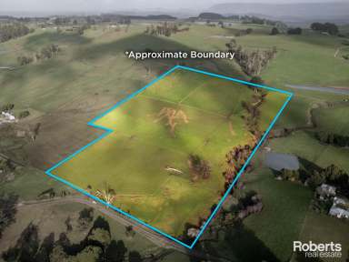 Farm For Sale - TAS - Sunnyside - 7305 - Ideal location for livestock management or run off block on 34.37 acres approx.  (Image 2)