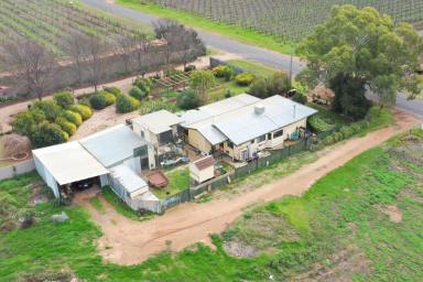 Farm Sold - VIC - Merbein - 3505 - LIFESTYLE ALLOTMENT WITH MODEST HOME & SHEDDING  (Image 2)