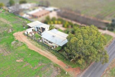 Farm Sold - VIC - Merbein - 3505 - LIFESTYLE ALLOTMENT WITH MODEST HOME & SHEDDING  (Image 2)