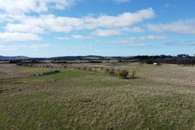 Farm For Sale - NSW - Spring Hill - 2800 - Opportunity to build on 145 acres, Close to Orange!!  (Image 2)