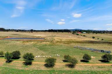 Farm For Sale - NSW - Spring Hill - 2800 - Opportunity to build on 145 acres, Close to Orange!!  (Image 2)