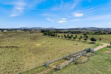 Farm For Sale - NSW - Spring Hill - 2800 - Opportunity to build on 145 acres, Close to Orange!!  (Image 2)