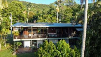 Farm Sold - QLD - Byfield - 4703 - The Ultimate Tree Change with income.  (Image 2)