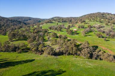 Farm Sold - WA - North Dandalup - 6207 - SUNRISES, SUNSETS & RIVER FRONTAGE  (Image 2)