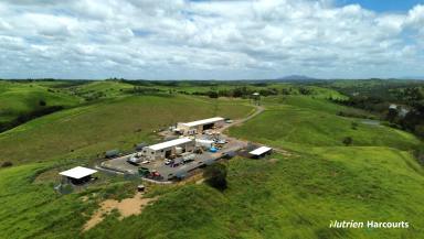 Farm For Sale - QLD - Booyal - 4671 - *BOOYAL PARK* BREEDING AND FATTENING BLOCK  (Image 2)
