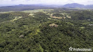 Farm For Sale - QLD - The Leap - 4740 - Spectacular 63-Acre Property with Breathtaking Views, Close to Mackay  (Image 2)