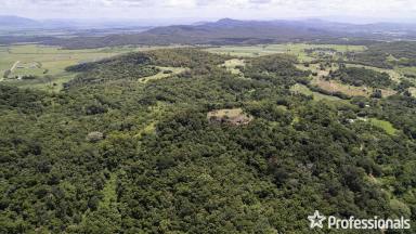 Farm For Sale - QLD - The Leap - 4740 - Spectacular 63-Acre Property with Breathtaking Views, Close to Mackay  (Image 2)