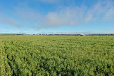 Farm Sold - WA - Quairading - 6383 - Hammonds Hill,  Quairading                                       758.4 ha (1874 ac)  (Image 2)