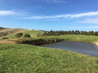 Farm For Sale - VIC - Foster - 3960 - In the heart of Prom Country  (Image 2)