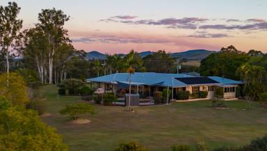 Farm For Sale - QLD - Jones Hill - 4570 - Acreage Oasis Perfect for Families, Guests and Your Home Business  (Image 2)