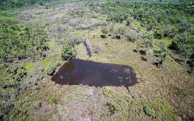 Farm For Sale - NT - Darwin River - 0841 - 16+ Hectares wet season creek and dam  (Image 2)